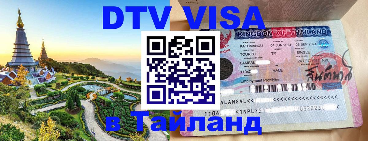 Сколько стоит DTV виза — актуальные цены, оформление даже без документов - 18.11.2025 